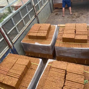 Đá ong ốp tường – Vẻ đẹp tự nhiên, bền bỉ cùng năm tháng